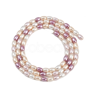 Electroplated Shell Pearl Beads Strands BSHE-H113-06B-01-1