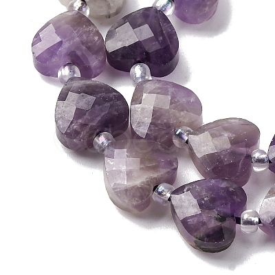 Natural Amethyst Beads Strands G-P570-E17-01-1