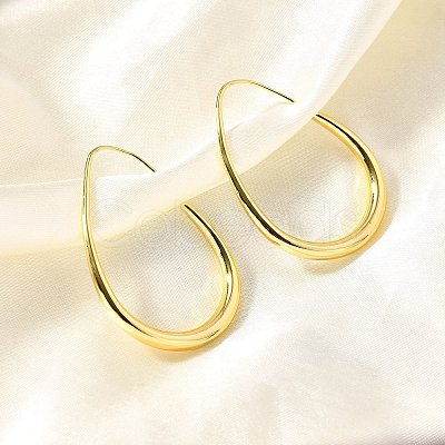 Teardrop Brass Dangle Earrings EJEW-R018-01G-1