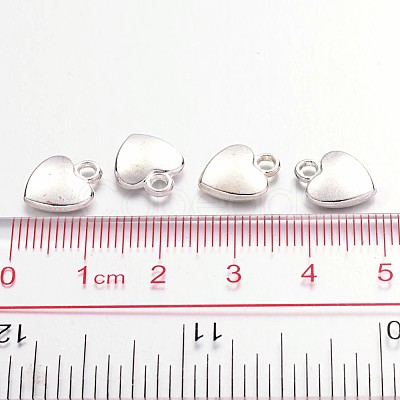 Tibetan Style Alloy Charms X-K08QL022-1