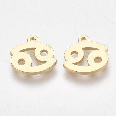 Ion Plating(IP) 304 Stainless Steel Charms X-STAS-S107-06J-1