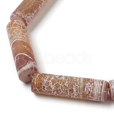 Natural Weathered Agate Beads Strands G-Q169-A04-01-1