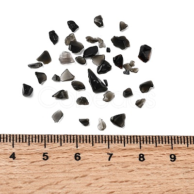 Natural Obsidian Chip Beads G-L453-08-1