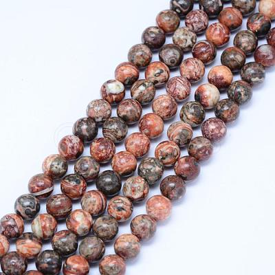 Natural Leopard Skin Jasper Beads Strands G-J358-05-6mm-1