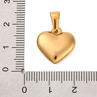 304 Stainless Steel Pendants STAS-P278-01S-G-1-1