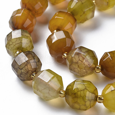 Natural Agate Beads Strands G-T131-118H-1
