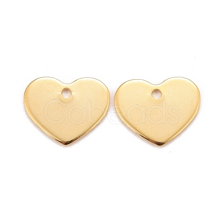 201 Stainless Steel Charms LS-X-STAS-K217-76G-1