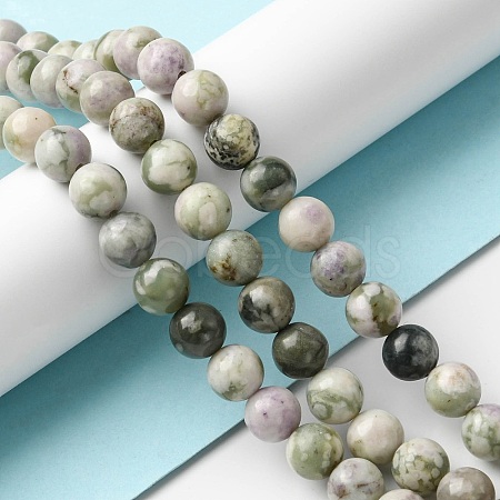 Natural Peace Jade Beads Strands G-E598-04B-1