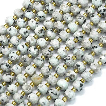 Natural Sesame Jasper Beads Strands G-K389-E14-01-1