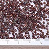 MIYUKI Round Rocailles Beads SEED-X0054-RR4503-4