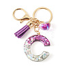 Alloy Resin Heart Keychains KEYC-TADJ0002-01G-C-2