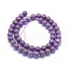 Natural Lepidolite/Purple Mica Stone Beads Strands G-L552H-09D-3