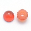 Natural Carnelian Cabochons X-G-P393-R03-6mm-2