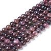 Natural Rhodonite Beads Strands G-I249-A24-1