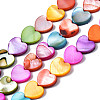 Natural Freshwater Shell Beads Strands SHEL-S278-024A-1