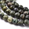 Natural African Turquoise(Jasper) Beads Strands G-N0188-02-3mm-6