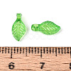 Transparent Plastic Charms KY-N025-09-3