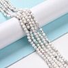 Natural Howlite Beads Strands G-H273-02B-3