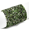Natural Diopside Beads Strands G-G188-B14-04-2