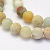 Natural Flower Amazonite Beads Strands G-G697-F05-10mm-3