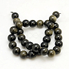 Natural Golden Sheen Obsidian Beads Strands G-C068-10mm-9-2