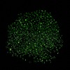 Luminous Glass Seed Beads SEED-A033-07K-5