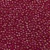 TOHO 11/0 Round Beads X-SEED-TR11-0165BF-2