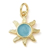 Rack Plating Brass Enamel Charms KK-K392-50G-04-1