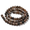 Natural Black Moonstone Beads Strands G-A219-A01-02-4