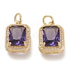 Brass Glass Charms X-ZIRC-F116-09B-G-1