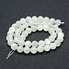 Natural Rainbow Moonstone Beads Strands G-P342-02A-8mm-AA-2