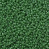 MIYUKI Round Rocailles Beads SEED-JP0008-RR0431-3