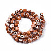 Natural Trochid Shell/Trochus Shell Beads Strands SSHEL-N032-48-A07-2
