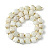 Natural Moonstone Beads Strands G-Q010-A05-01-3