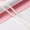 Natural Trochid Shell/Trochus Shell Beads Strands SSHEL-O001-24A-02-5