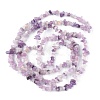 Natural Lepidolite/Purple Mica Stone Beads Strands G-G0003-B07-3