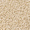 MIYUKI Delica Beads X-SEED-J020-DB0204-3
