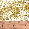 MIYUKI Delica Beads SEED-MY11-DB2157-4