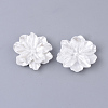 Resin Cabochons X-RESI-S364-46B-1