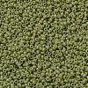 MIYUKI Round Rocailles Beads X-SEED-G009-RR4474-2