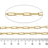 304 Stainless Steel Paperclip Chains CHS-R020-06G-03-2