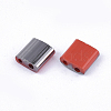 FGB 2-Hole Glass Seed Beads SEED-S031-L-045-H-2