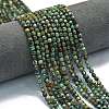Natural African Turquoise(Jasper) Beads Strands G-A260-A16-01-1