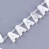 Natural Sea Shell Beads SHEL-T012-60A-2