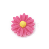 Resin Cabochons CRES-N007-10B-1