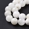 Natural Rainbow Moonstone Beads Strands G-I249-B04-02-7
