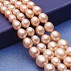 Natural Cultured Freshwater Pearl Graduated Beads Strands PEAR-P060-05B-01-1