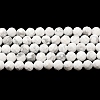 Natural Howlite Beads Strands G-E608-A01-B-2