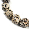 Natural Dalmatian Jasper Nuggets Beaded Necklaces for Women Men NJEW-K388-01O-2