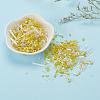 Glass Seed Beads X-SEED-S059-011-6